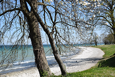 plage Champ de l eau small